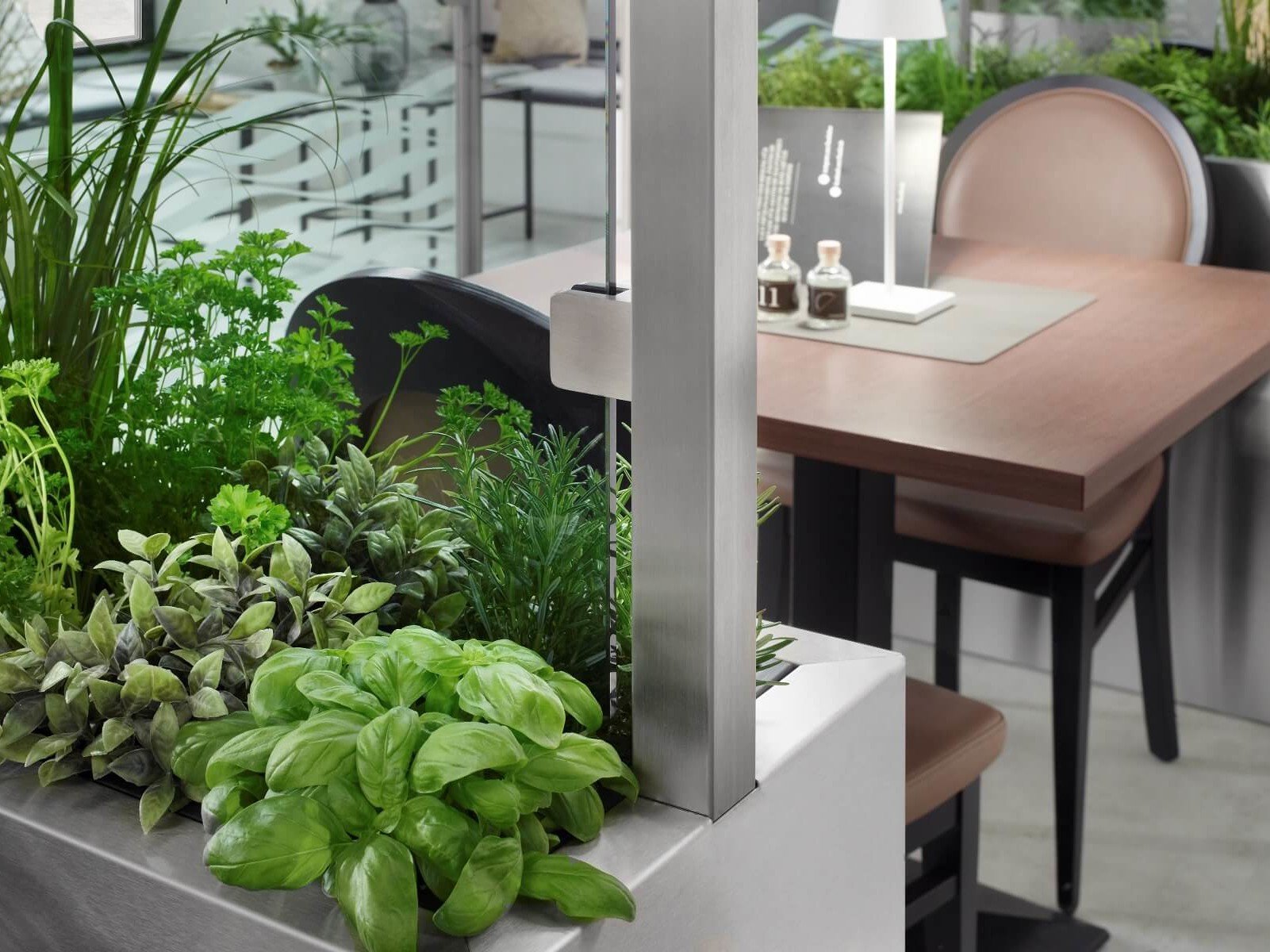 Glastrennwand bepflanzt als Raumtrenner im Restaurant