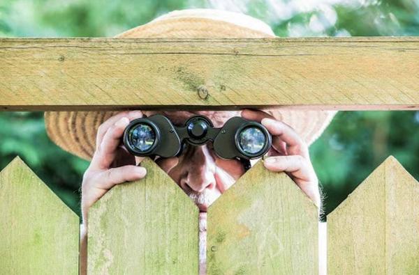Holzzaun Sichtschutz vor Nachbarn im Garten