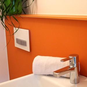 Glasfliese für WC und Bad